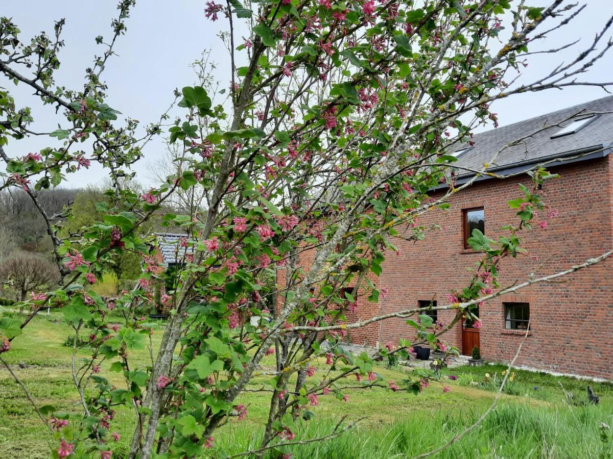 Bed and Breakfast Aux Saveurs D'Enneille Durbuy Zewnętrze zdjęcie